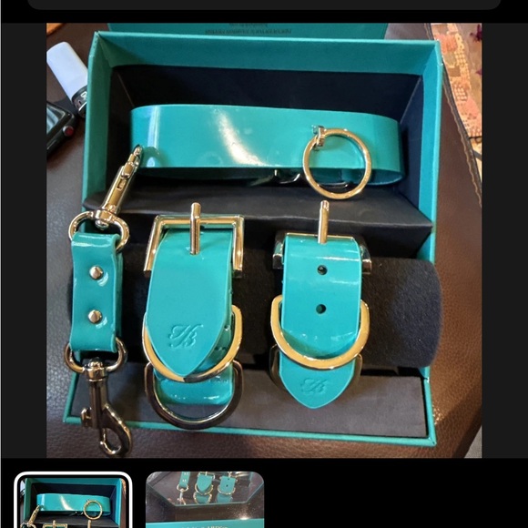 NWOT Honey Birdette Kukuro Bondage Kit Jade Leather Handcuff & Collar Leash - Picture 2 of 4